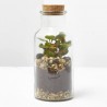 TERRARIO VIVANT D8.2 H17.2