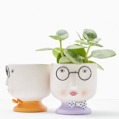 MACETERO CARITA C/GAFAS D10.3XH10.8CM