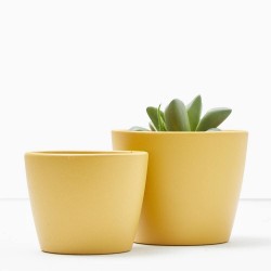 MACETERO NÚBIA CACTUS AMARILLO