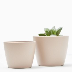 MACETERO NÚBIA CACTUS ROSA