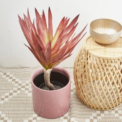 YUCCA ROJIZA ARTIFICIAL 75CM INTERIOR/EXTERIOR