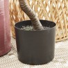 YUCCA ROJIZA ARTIFICIAL 75CM INTERIOR/EXTERIOR