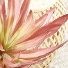 YUCCA ROJIZA ARTIFICIAL 75CM INTERIOR/EXTERIOR