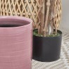 BOUGANVILLA  ARTIFICIAL TRONCO NATURAL 160CM