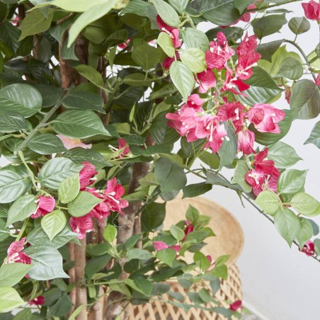 BOUGANVILLA  ARTIFICIAL TRONCO NATURAL 160CM