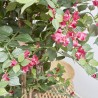 BOUGANVILLA  ARTIFICIAL TRONCO NATURAL 160CM