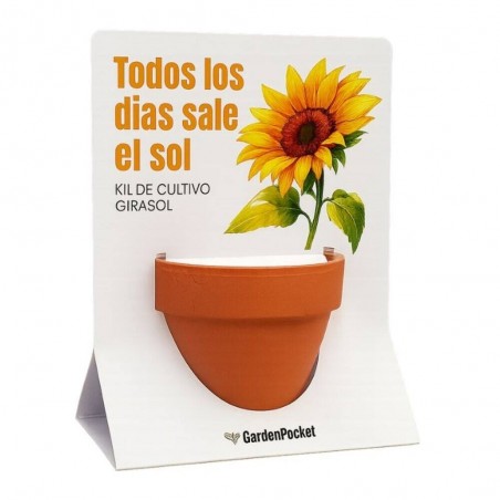 KIT GIRASOL MENSAJE
