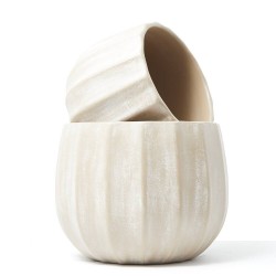 MACETERO WASHED CREAM