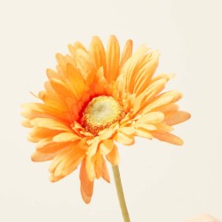 GERBERA NARANJA ARTIFICIAL 50 CM TALLO