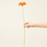 GERBERA NARANJA ARTIFICIAL 50 CM TALLO