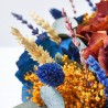 CENTRO CALOBRA