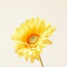 GERBERA AMARILLA ARTIFICIAL 50 CM TALLO