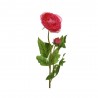 CAMELIA ROJA ARTIFICIAL L10.00-W8.00-H57.00CM