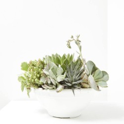 CRASAS EXTERIOR TARRIENA 25CM