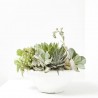 CRASAS EXTERIOR TARRIENA 25CM