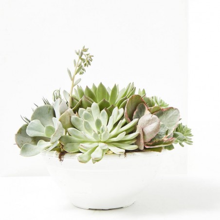 CRASAS EXTERIOR TARRIENA 25CM