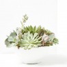 CRASAS EXTERIOR TARRIENA 25CM