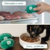 COMIDA COCINADA DE SALMÓN Y TERNERA PARA GATO