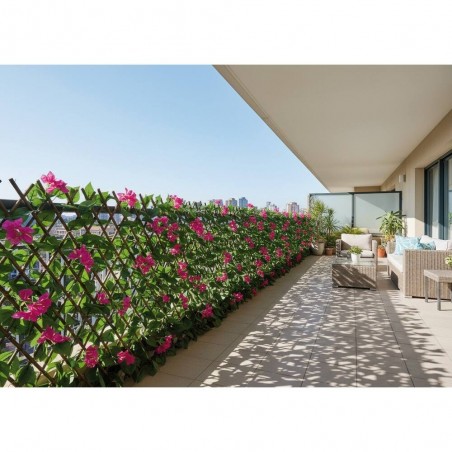 CELOSÍA EXTENsible BUGANVILLA 100X150CM