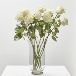 SIMPLICITY WHITE LOVE (9 ROSAS + 4 HELECHOS)