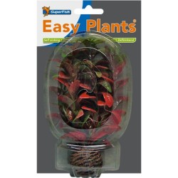 EASY PLANT LOW 13 CM NR. 7