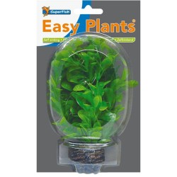 EASY PLANT LOW 13 CM NR. 8