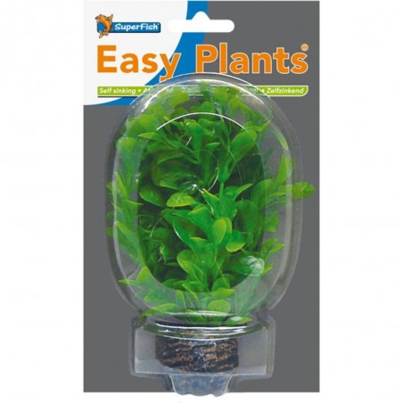 EASY PLANT LOW 13 CM NR. 8