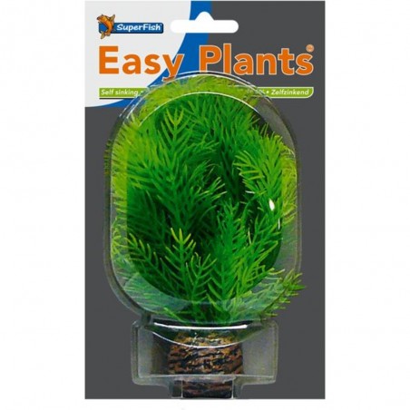 EASY PLANT LOW 13 CM NR. 9