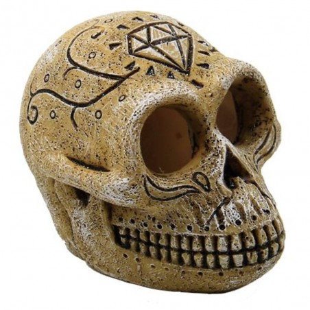 DECO CALAVERA MONO