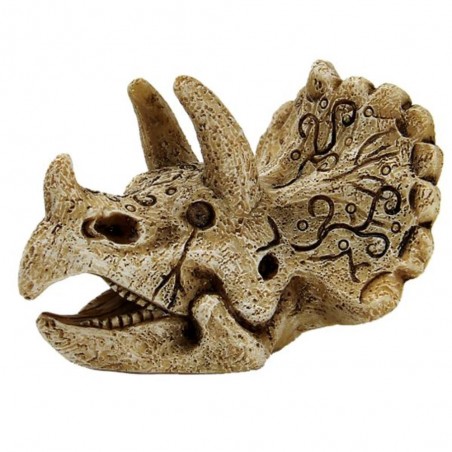 DECO ESQUELETO TRICERATOPS