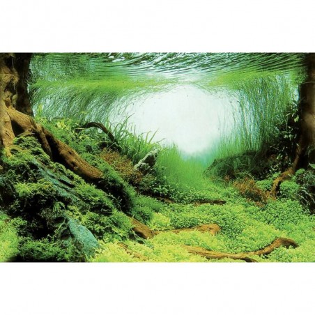 DECO POSTER C2 60X49 CM