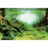 DECO POSTER C2 60X49 CM