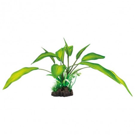 ART PLANT 25CM CRYPTOCORYNE