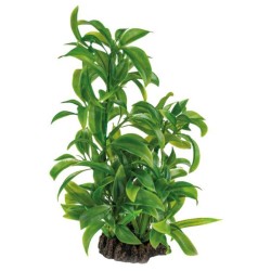 ART PLANT 25CM DRACAENA