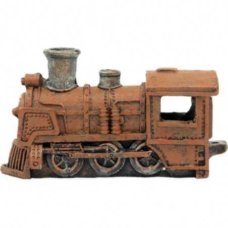 DECO LOCOMOTORA