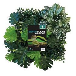 REPTO FONDO PLANTAS 25X25