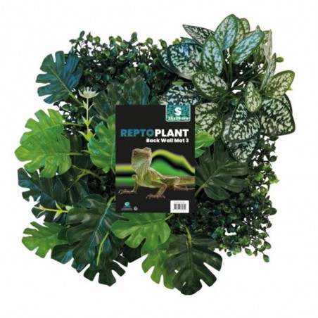 REPTO FONDO PLANTAS 25X25