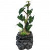 REPTO WATER DRIPPING TREE