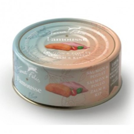 TERRA FELIS SALMON/POLLO GF 80G