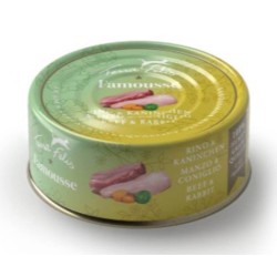 TERRA FELIS BUEY/CONEJO GF 80G