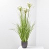 ALLIUM BLANCO ARTIFICIAL EN MACETA H110XD35CM