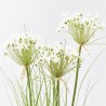 ALLIUM BLANCO ARTIFICIAL EN MACETA H110XD35CM