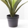 AGAPANTHUS LILA  ARTIFICIAL  EN MACETA H105.00CM