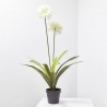 AGAPANTHUS BLANCO ARTIFICIAL EN MACETA H105.00CM