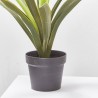 AGAPANTHUS BLANCO ARTIFICIAL EN MACETA H105.00CM