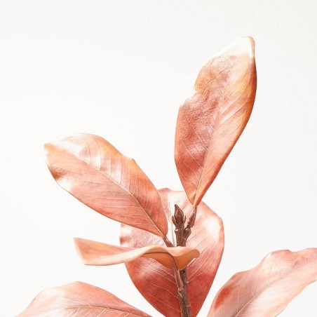 RAMITA MAGNOLIA X 7. 40 CM. AMBAR.