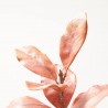RAMITA MAGNOLIA X 7. 40 CM. AMBAR.