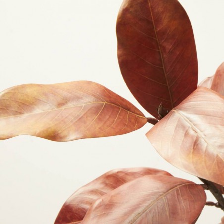 RAMITA MAGNOLIA X 7. 40 CM. AMBAR.