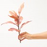 RAMITA MAGNOLIA X 7. 40 CM. AMBAR.