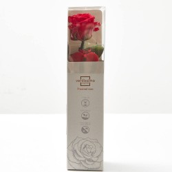 MINI ROSA ETERNA ROJA